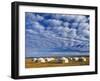 Yurts, Mongolia-Peter Adams-Framed Photographic Print