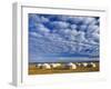 Yurts, Mongolia-Peter Adams-Framed Photographic Print