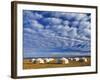 Yurts, Mongolia-Peter Adams-Framed Photographic Print