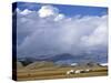 Yurts, Mongolia-Peter Adams-Stretched Canvas