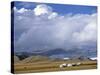 Yurts, Mongolia-Peter Adams-Stretched Canvas