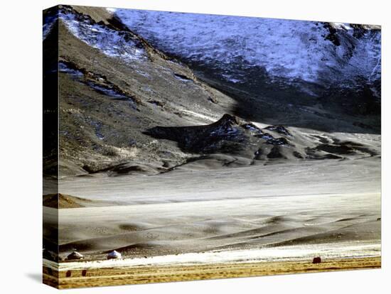 Yurts of One of the Eagle Hunters Grandfathers, Golden Eagle Festival, Mongolia-Amos Nachoum-Stretched Canvas