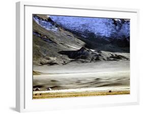 Yurts of One of the Eagle Hunters Grandfathers, Golden Eagle Festival, Mongolia-Amos Nachoum-Framed Photographic Print