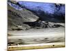 Yurts of One of the Eagle Hunters Grandfathers, Golden Eagle Festival, Mongolia-Amos Nachoum-Mounted Photographic Print