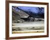 Yurts of One of the Eagle Hunters Grandfathers, Golden Eagle Festival, Mongolia-Amos Nachoum-Framed Photographic Print