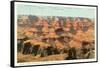 Yuvapai Point, Grand Canyon-null-Framed Stretched Canvas
