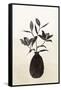 Canvas Black