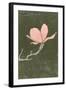 Chelsea Black