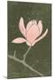 Wood Mount