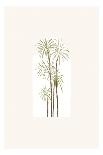 Boho Bird of Paradise Leaves I-Yuyu Pont-Framed Art Print