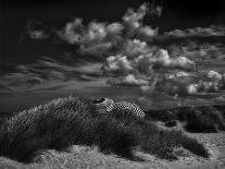 Mono Lake's Tufa Cathedral-Yvette Depaepe-Photographic Print