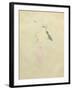 Yvette Guilbert, C.1894-Henri de Toulouse-Lautrec-Framed Giclee Print