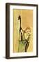 Yvette Guilbert Taking Curtain Call-Henri de Toulouse-Lautrec-Framed Giclee Print