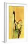 Yvette Guilbert Taking Curtain Call-Henri de Toulouse-Lautrec-Framed Giclee Print