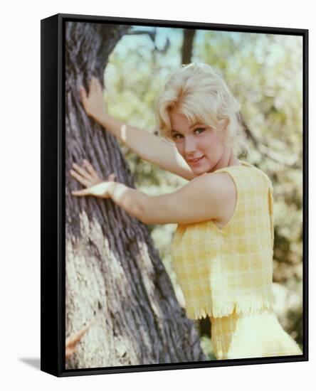 Yvette Mimieux-null-Framed Stretched Canvas