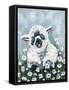 Framed Canvas
