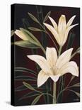 Sunburst Blossoms-Yvette St^ Amant-Framed Giclee Print