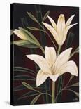 Botanical Elegance II-Yvette St^ Amant-Stretched Canvas