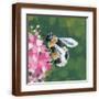 Brown Frame