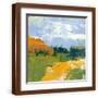 Brown Frame