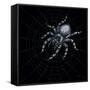 Canvas Black