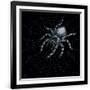 Gramercy Black