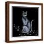 Brown Frame
