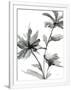 Gramercy White
