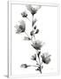 Gramercy White
