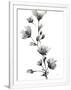 Gramercy White