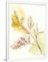 Gramercy White