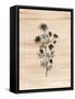 Framed Canvas