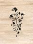 Laminate