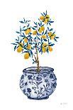 Lemon Tree in Chinoiserie I-Yvette St. Amant-Art Print