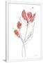Gramercy White