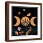 Brown Frame