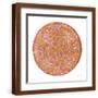 Brown Frame