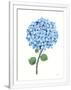 Gramercy White