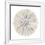 Gramercy White