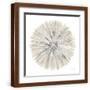 Brown Frame