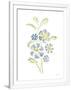 Gramercy White