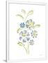 Gramercy White