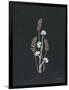 Gramercy Black