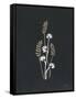 Canvas Black