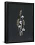Essential Black