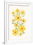 Gramercy White