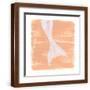 Brown Frame