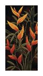 Birds of Paradise II-Yvette St^ Amant-Giclee Print