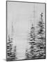 Wood Mount