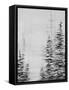 Framed Canvas